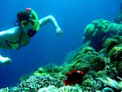 Snorkeling Bunaken, Pics Courtesy: Jan Honza Haba